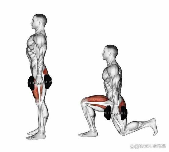 锻炼肌肉的方法