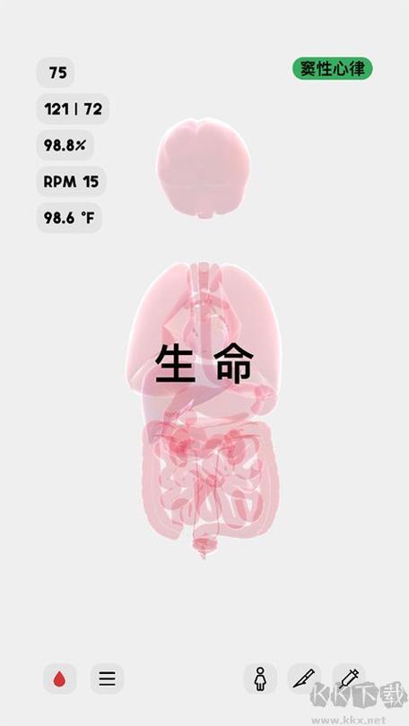 生命人体模拟器中文版