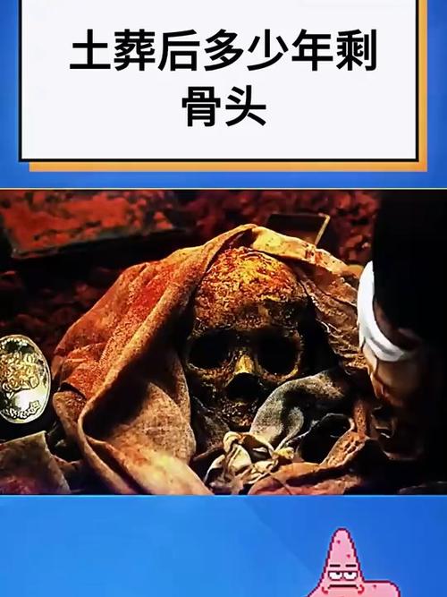人埋在土里多久变骨头