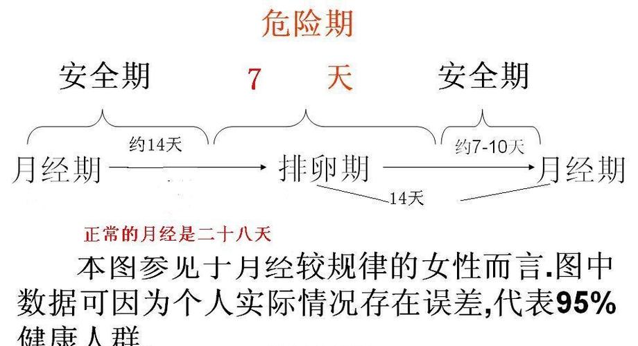 排卵期计算法