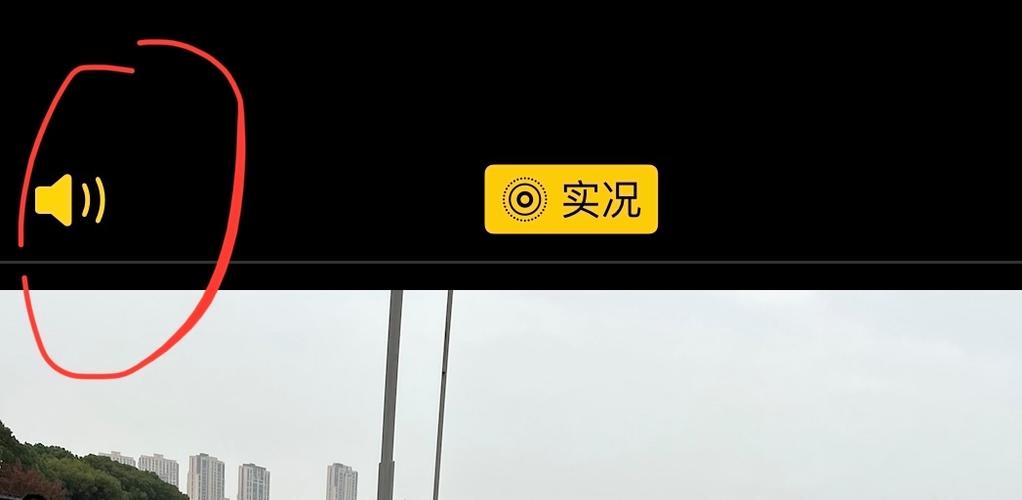 为什么我的实况没有声音