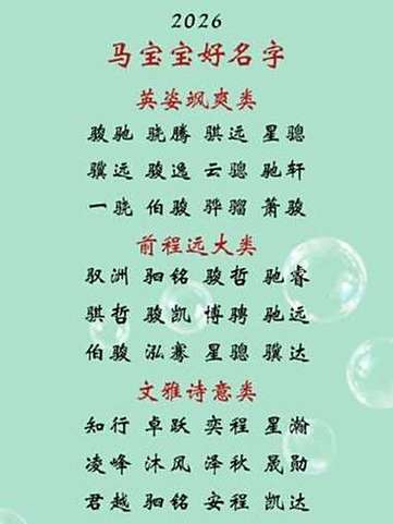 马宝宝最吉利的名字