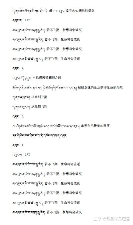 vivo语言藏语改中文