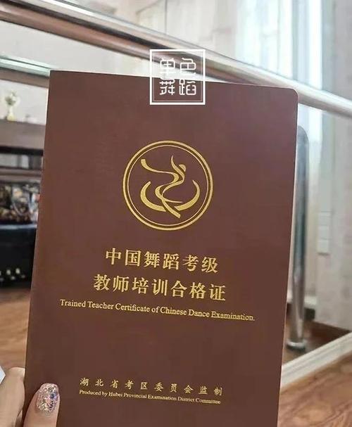 中国舞蹈考级证书查询入口
