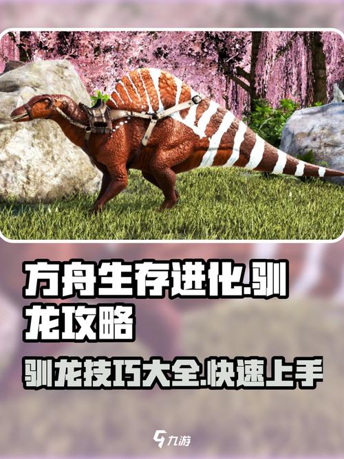方舟前期驯龙攻略