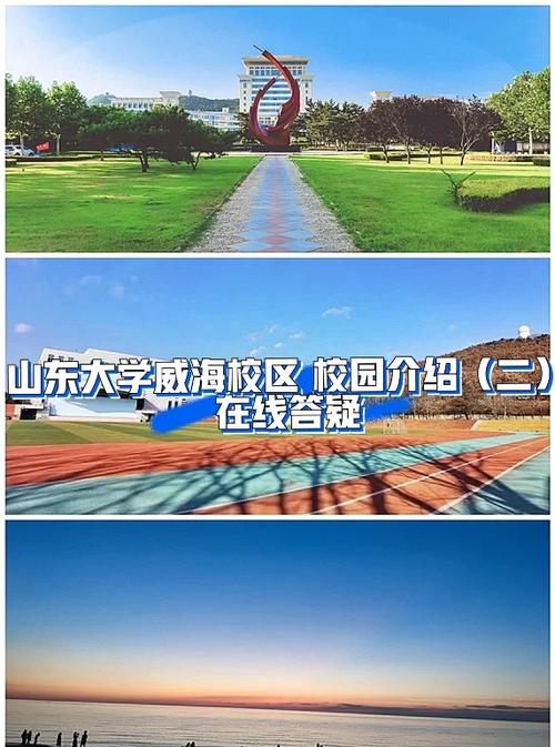 山大威海最厉害三个专业