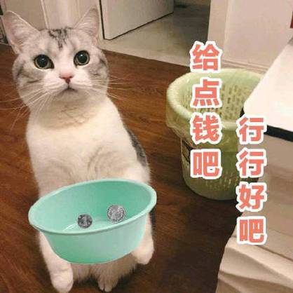 猫咪赚钱小游戏软件