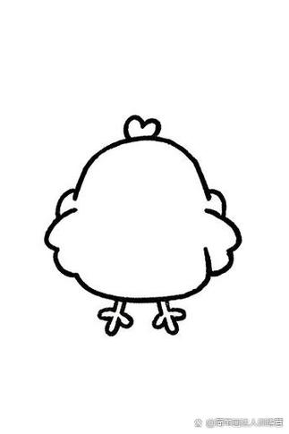 小鸡小鸡咕咕哒