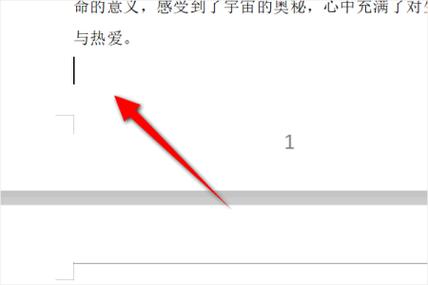 word文档怎么整页复制