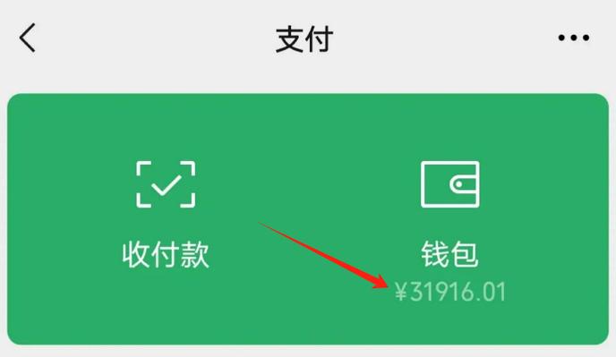 立即支付打开微信