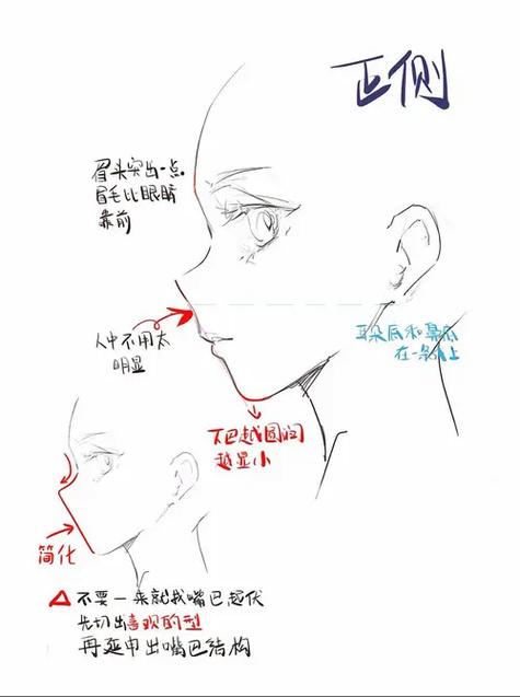 6岁～12岁画侧脸