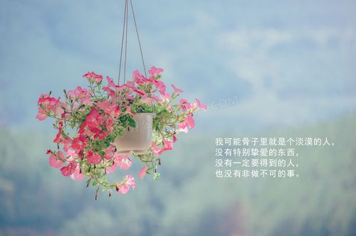 qq空间经典说说