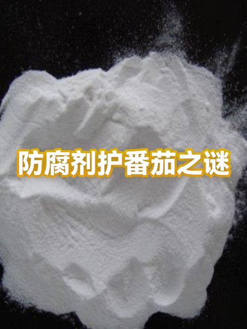 番茄实名认证显示已绑定其他账号