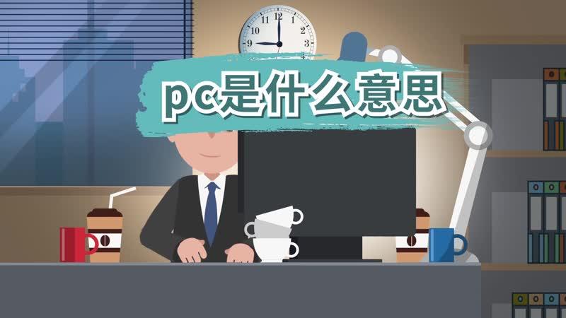 pc版是什么意思