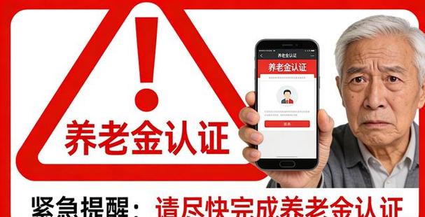 养老金没到账找哪里