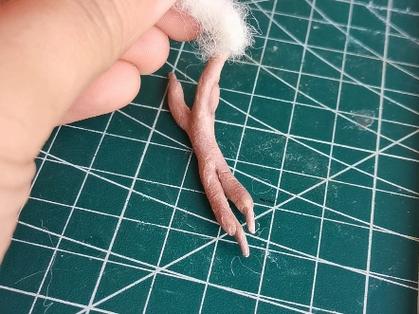 鹦鹉爪子蜷缩一招搞定
