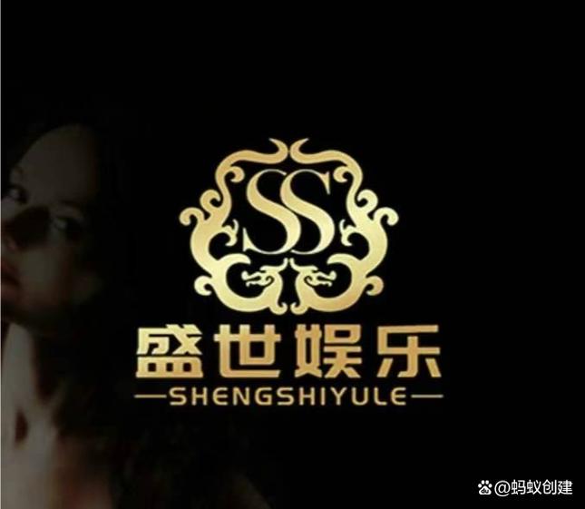 盛世集团公司简介