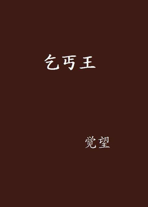 乞丐王小说