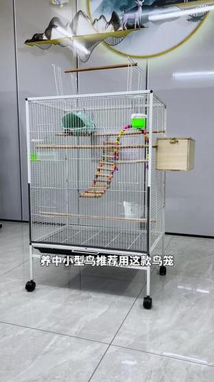 鹦鹉笼子怎么布置