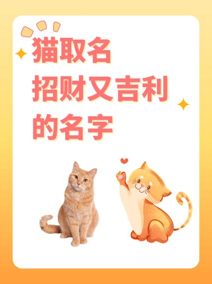 女猫名字最吉利顺口