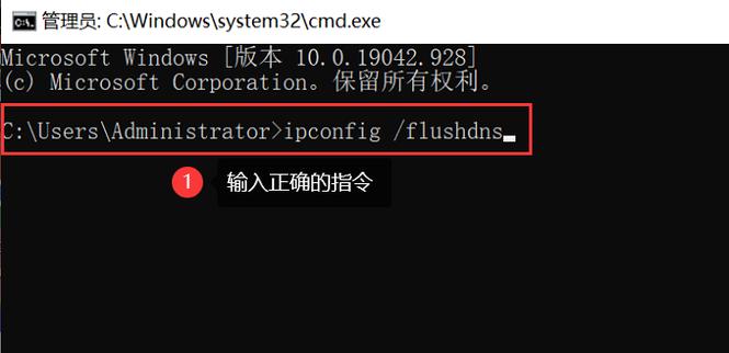 windows浏览器打不开网页