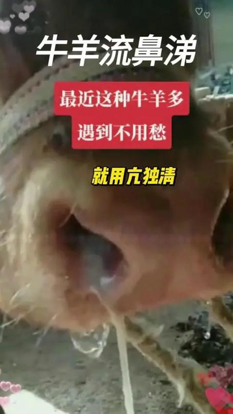 ▖▜▖▗什么意思