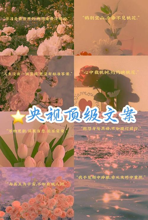 文案顶尖