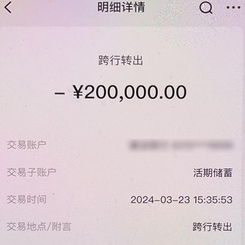 支付宝转账有没有延迟到账