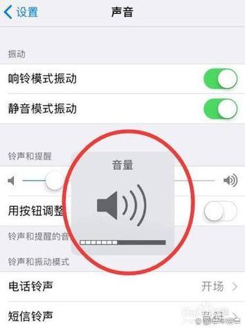 苹果调音量键没反应