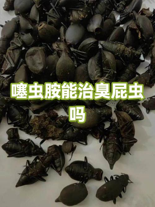 打屁虫怎么防治