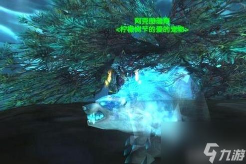 魔兽世界猎人宠物攻略