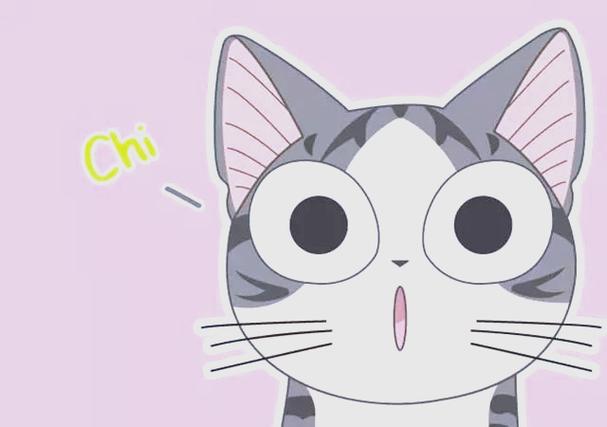 猫咪的动画片有哪些