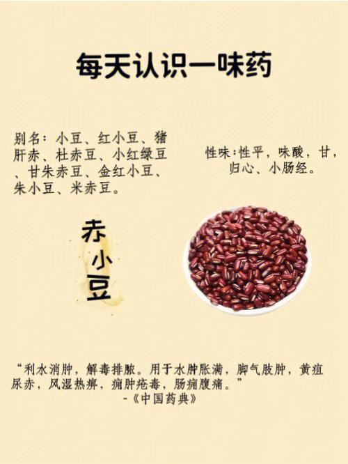 红豆功效作用与主治