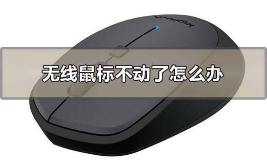 无线鼠标能动不能点击