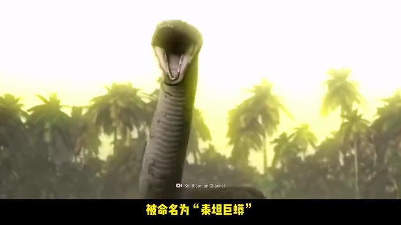 巨兽战场泰坦巨蟒