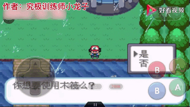 口袋妖怪圣灰内置菜单