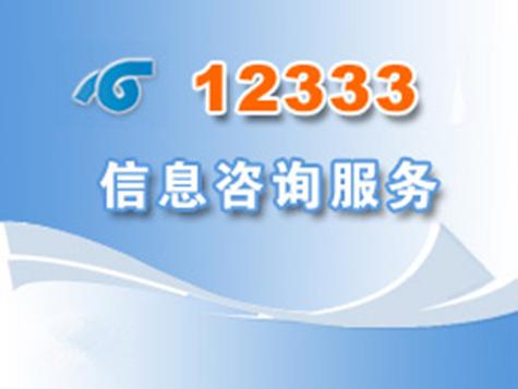 12333社保查询网官网