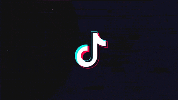 抖音旧版本大全2019有动态的