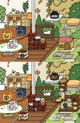 猫咪后院