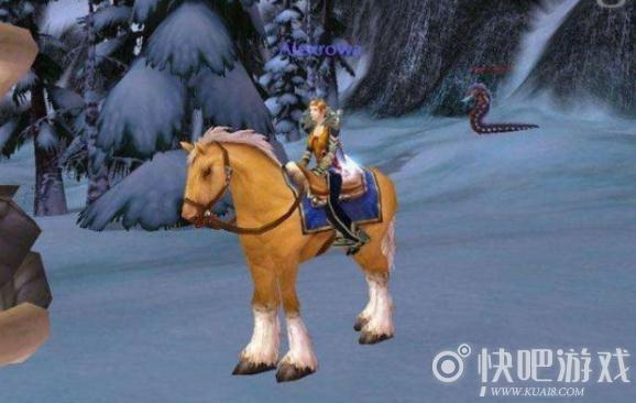 魔兽世界小马多少钱