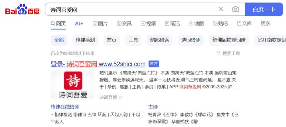 诗词吾爱检测工具