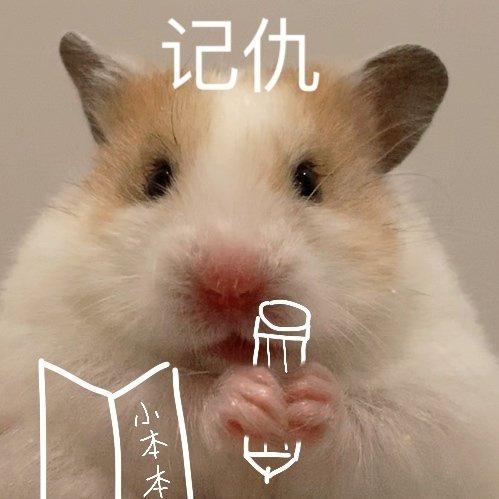 小鼠表情包