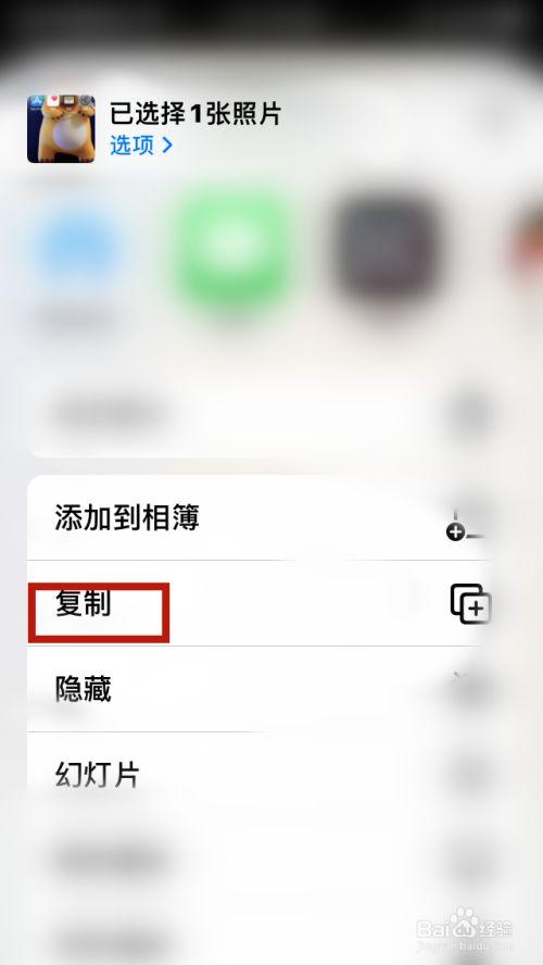 苹果如何复制粘贴