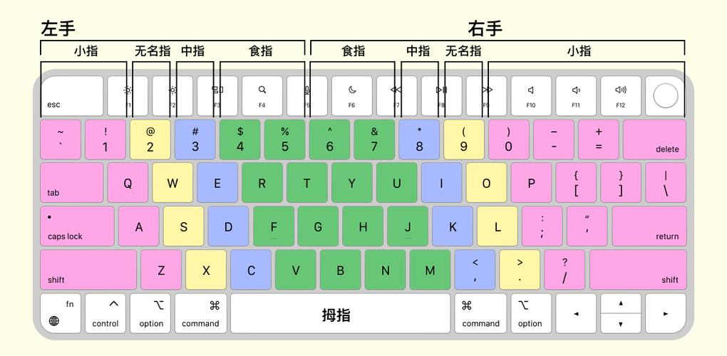 打字训练