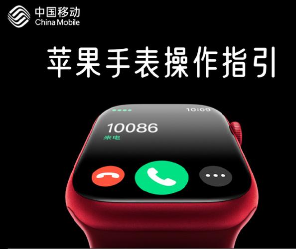 苹果手表支持一号双终端吗