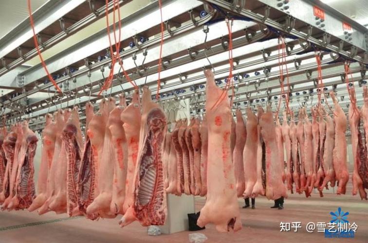 兔子加工肉联厂