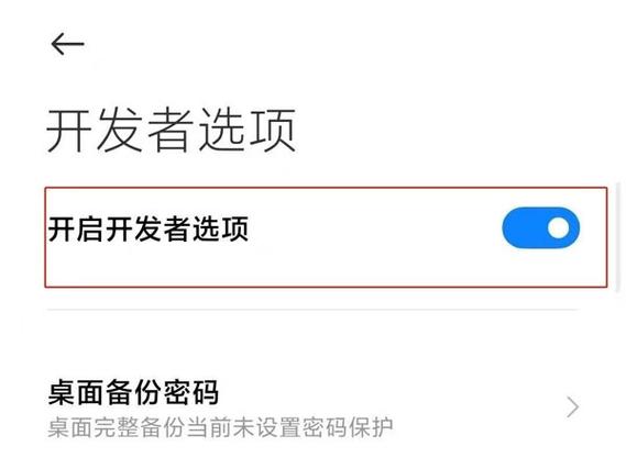 realme开发者模式怎么关