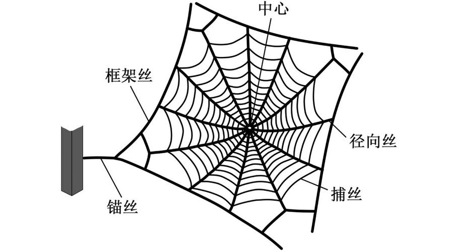 蜘蛛框架2.9