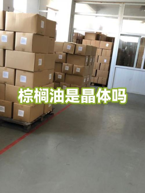 棕榈油最新消息