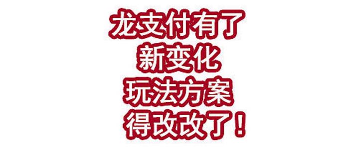建行 龙支付商户 费率